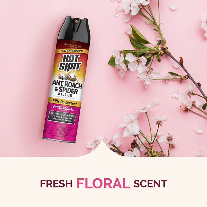HG-96781 Ant, Roach & Spider Killer Fresh Floral Scent 17.5 oz Fresh Floral Scent